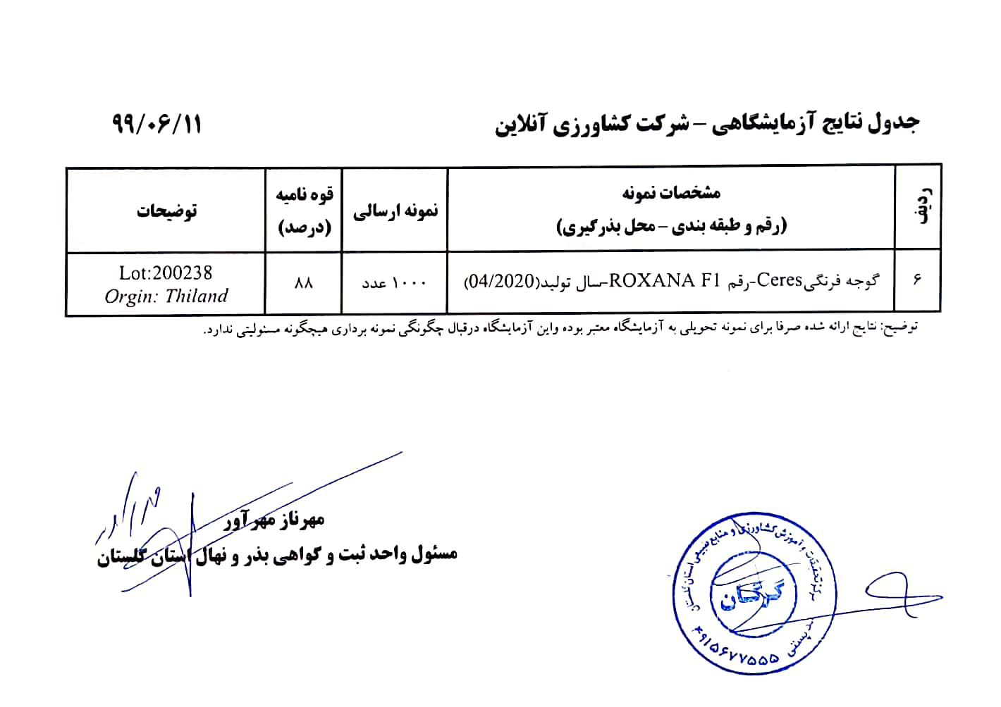 گوجه فرنگی بنام رکسانا هلند 1