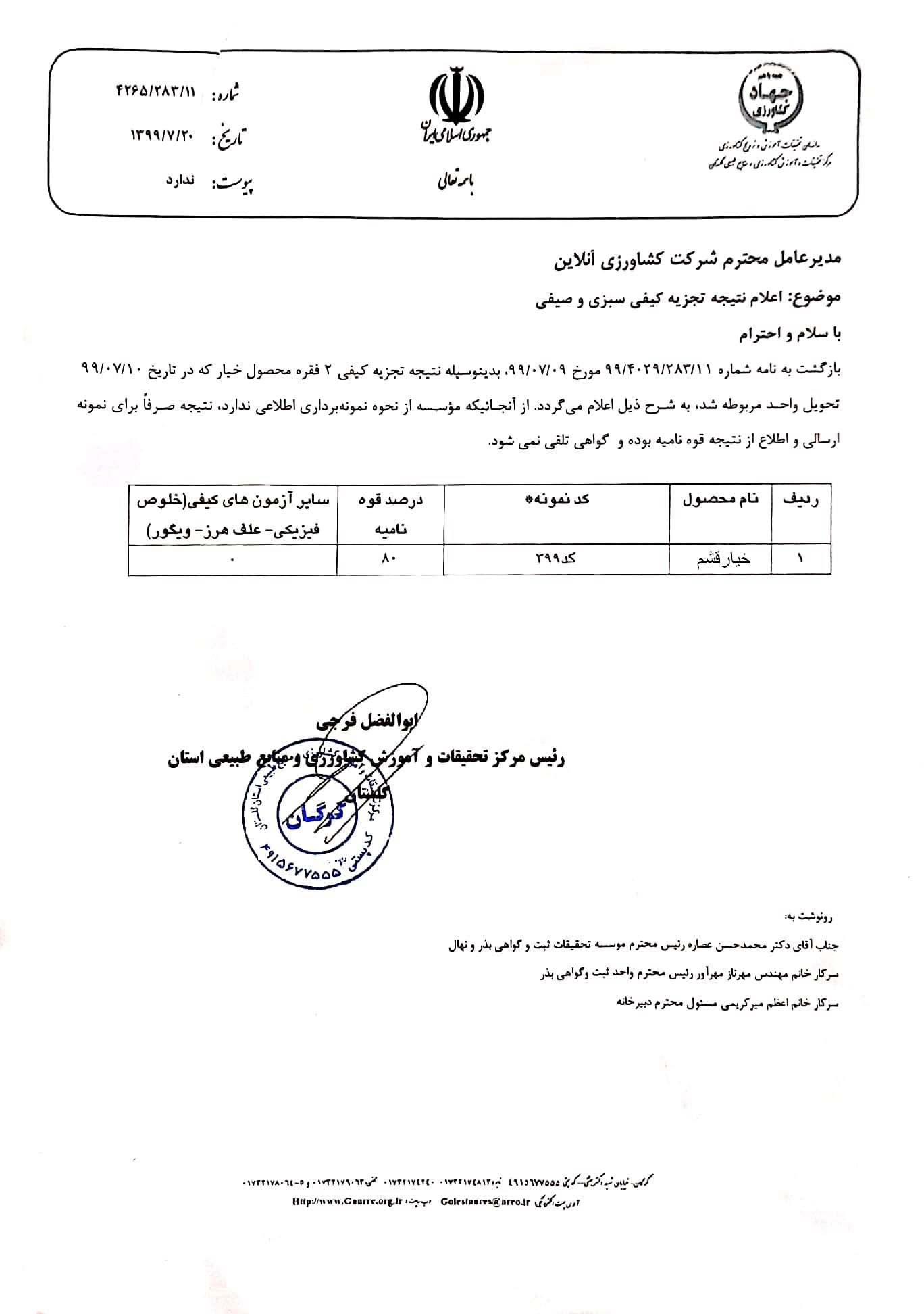 بذر خیار قشم نیو ورد آمریکا 3