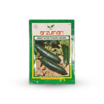 بذر خیار رسمی سیلین ترک