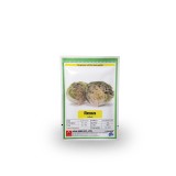 عکس کوچک بذر کاهو پیچ آیسبرگ رکسوس 2500 عددی کره ای