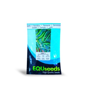 بذر خیار زمینی هامین 1000 عددی پربارترین و زودرس ترین خیار