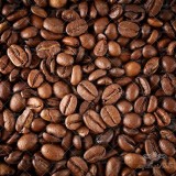 عکس کوچک بذر قهوه عربی وانیاسید