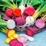 عکس کوچک بذر چغندر رنگی وانیاسید