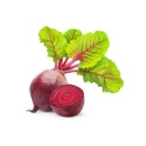عکس کوچک بذر چغندر لبویی خانگی کیان بذر