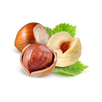 بذر فندق وانیاسید