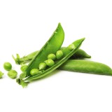 عکس کوچک بذر نخود فرنگی خانگی