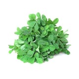 عکس کوچک بذر یونجه خانگی