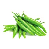 عکس کوچک بذر فلفل شیرین سبز وانیاسید