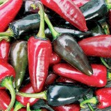 عکس کوچک بذر فلفل پاپریکا میکس
