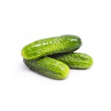 عکس کوچک بذر خیار خاردار درختی خانگی