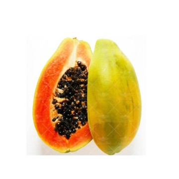 بذر پاپایا خانگی