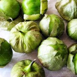 عکس کوچک بذر فیسالیس سبز وانیاسید