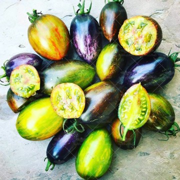 بذر گوجه فرنگی رنگین کمان اتمیک آمریکایی