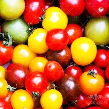 بذر گوجه فرنگی میکس ریز