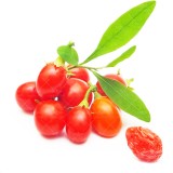 عکس کوچک بذر گوجی بری وانیاسید