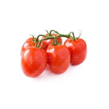 بذر گوجه زیتونی قرمز خانگی