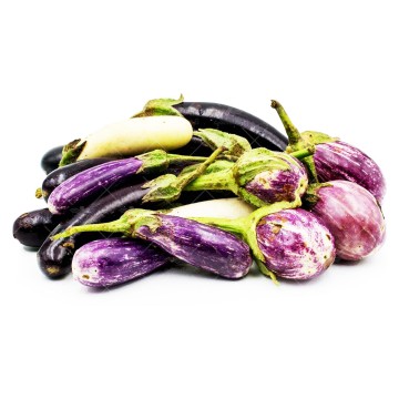 بذر بادمجان میکس خانگی وانیاسید