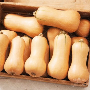بذر کدو والتهام خانگی
