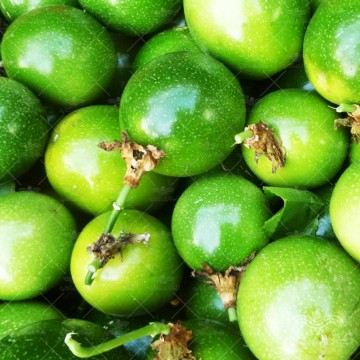 بذر پشن فروت سبز