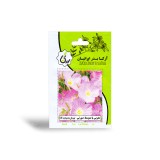 عکس کوچک بذر گل مغربی پا متوسط صورتی آرکا بذر ایرانیان