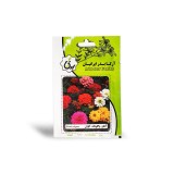 عکس کوچک بذر گل آهار پاکوتاه الوان آرکا بذر ایرانیان