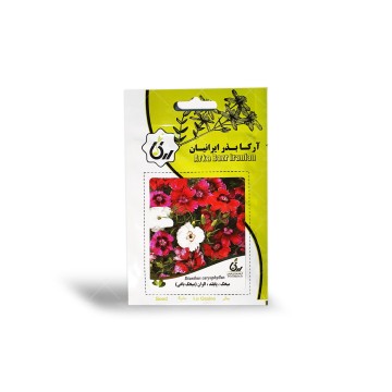 بذر گل میخک پا بلند الوان آرکا بذر ایرانیان