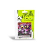 عکس کوچک بذر گل اطلسی گل درشت پر گل الوان آرکا بذر ایرانیان
