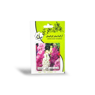بذر گل شب بو پا بلند الوان آرکا بذر ایرانیان