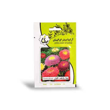 بذر گل مینا پا بلند الوان آرکا بذر ایرانیان