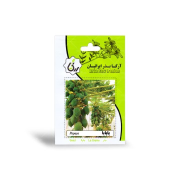 بذر پاپایا آرکا بذر ایرانیان