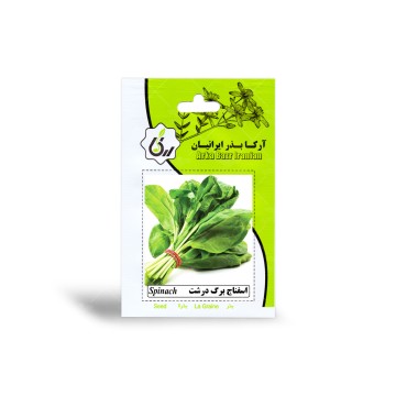 بذر اسفناج برگ درشت آرکا بذر ایرانیان