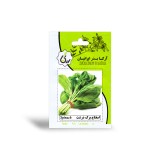 عکس کوچک بذر اسفناج برگ درشت آرکا بذر ایرانیان