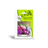 عکس کوچک بذر خانگی دراگون آرکا بذر ایرانیان