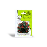 عکس کوچک بذر فلفل گیلاسی تند آرکا بذر ایرانیان