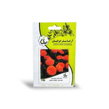 بذر گل همیشه بهار پاکوتاه نارنجی آرکا بذر ایرانیان