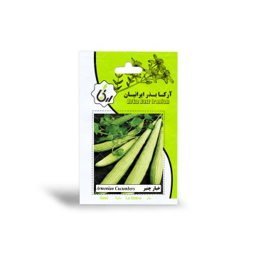بذر خیار چنبر آرکا بذر ایرانیان