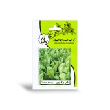 عکس کوچک بذر شاهی پهن برگ آرکا بذر ایرانیان
