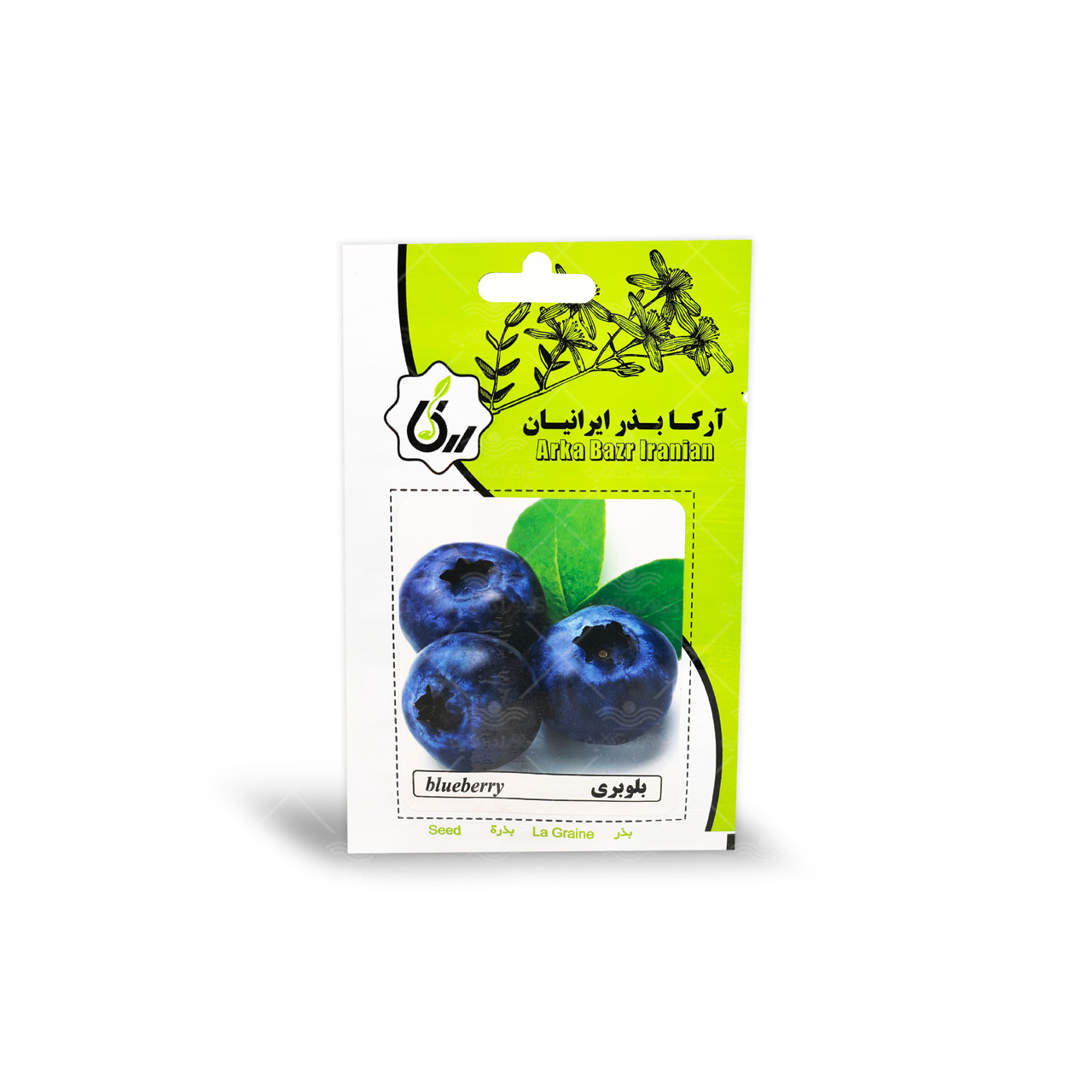 بذر بلوبری آرکا بذر ایرانیان 1
