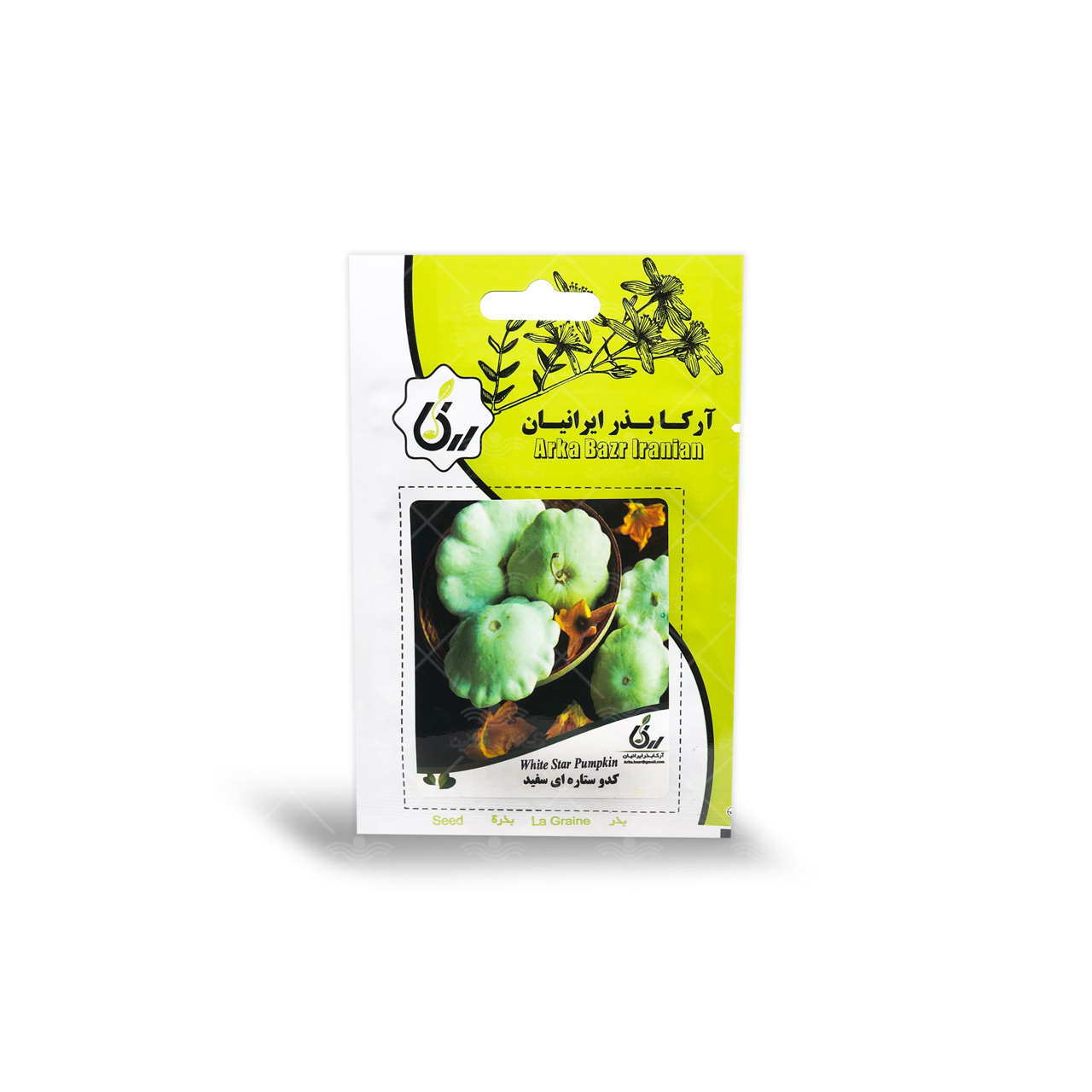 بذر کدو ستاره ای سفید آرکا بذر ایرانیان 1