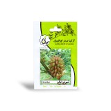 عکس کوچک بذر خانگی شیرین بیان آرکا بذر ایرانیان