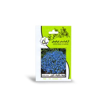 بذر لوبلیا پاکوتاه الوان آرکا بذر ایرانیان
