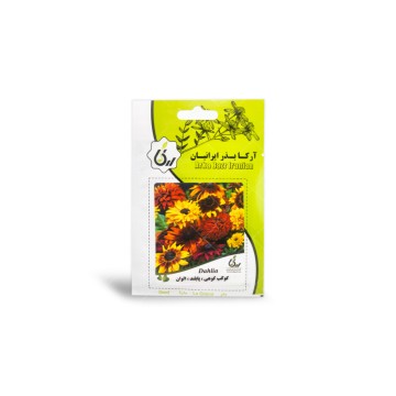 بذر گل کوکب کوهی پابلند الوان آرکا بذر ایرانیان