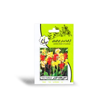 بذر اختر پابلند الوان آرکا بذر ایرانیان