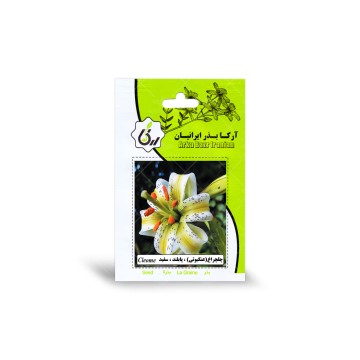 بذر چلچراغ پابلند سفید آرکا بذر ایرانیان