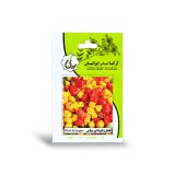 عکس کوچک بذر خانگی فلفل زنگوله ای میکس آرکا بذر ایرانیان
