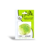 عکس کوچک بذر کاهو پیچ سیاهو آرکا بذر ایرانیان