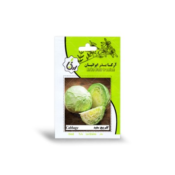 بذر کلم پیچ سفید آرکا بذر ایرانیان