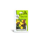 عکس کوچک بذر مغربی پابلند معطر زرد آرکا بذر ایرانیان