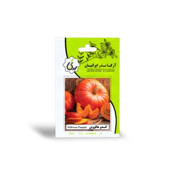بذر کدو هالووین آرکا بذر ایرانیان