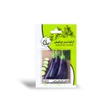 عکس کوچک بذر بادمجان مشکی قلمی ژاپنی آرکا بذر ایرانیان
